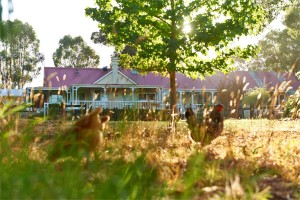 Eat, Stay, Love At Luxury Margaret River Accommodation 17