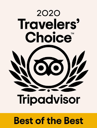 Best Of The Best!!! 2020 Trip Advisor Awards 1