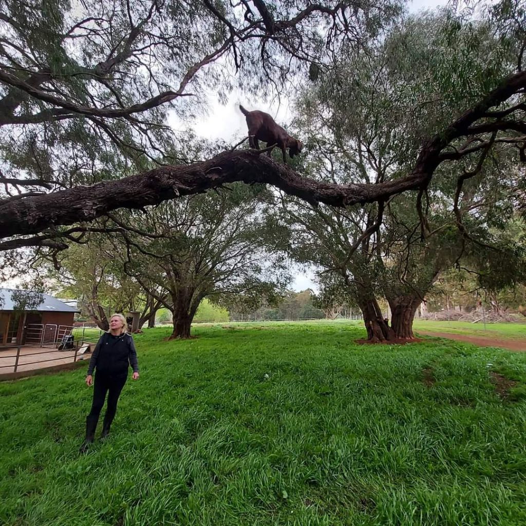 When Guests Re-Visit 23 When Guests Re-Visit 23