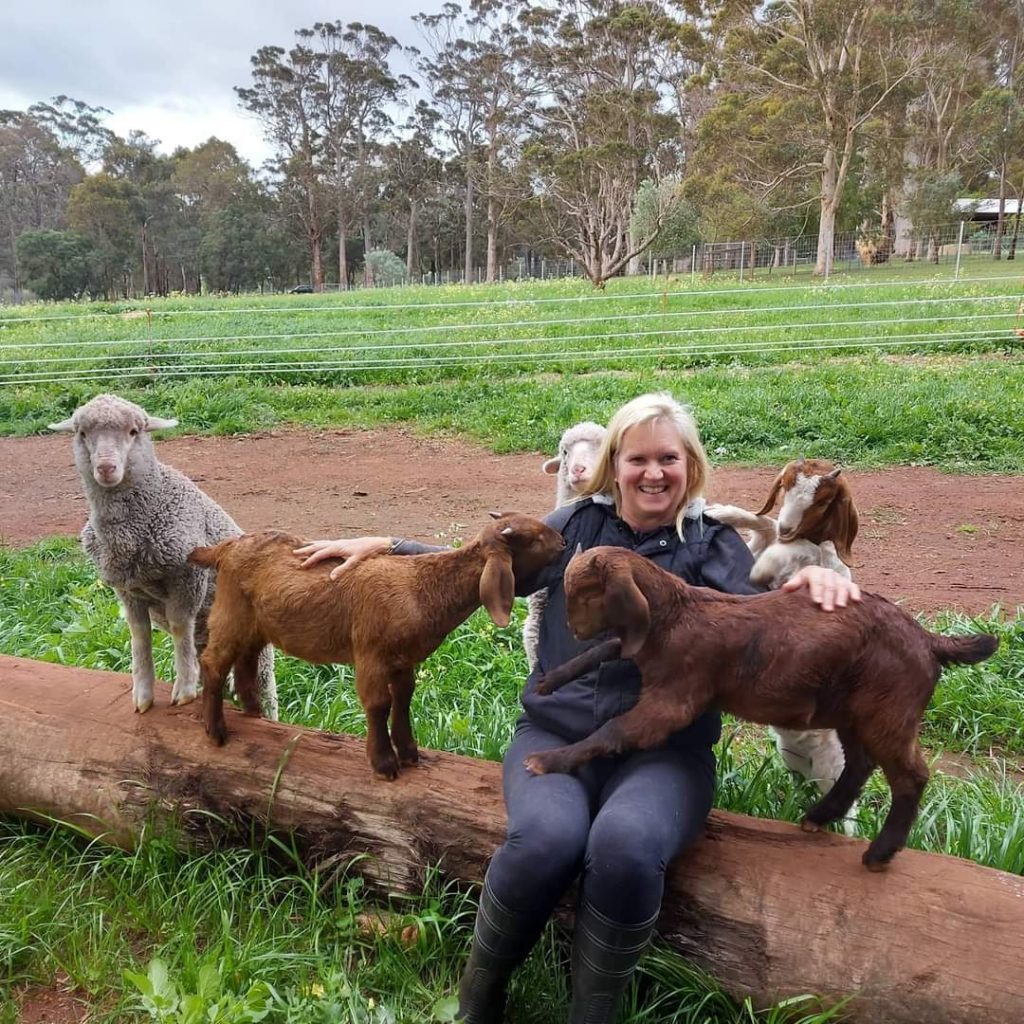 When Guests Re-Visit 22