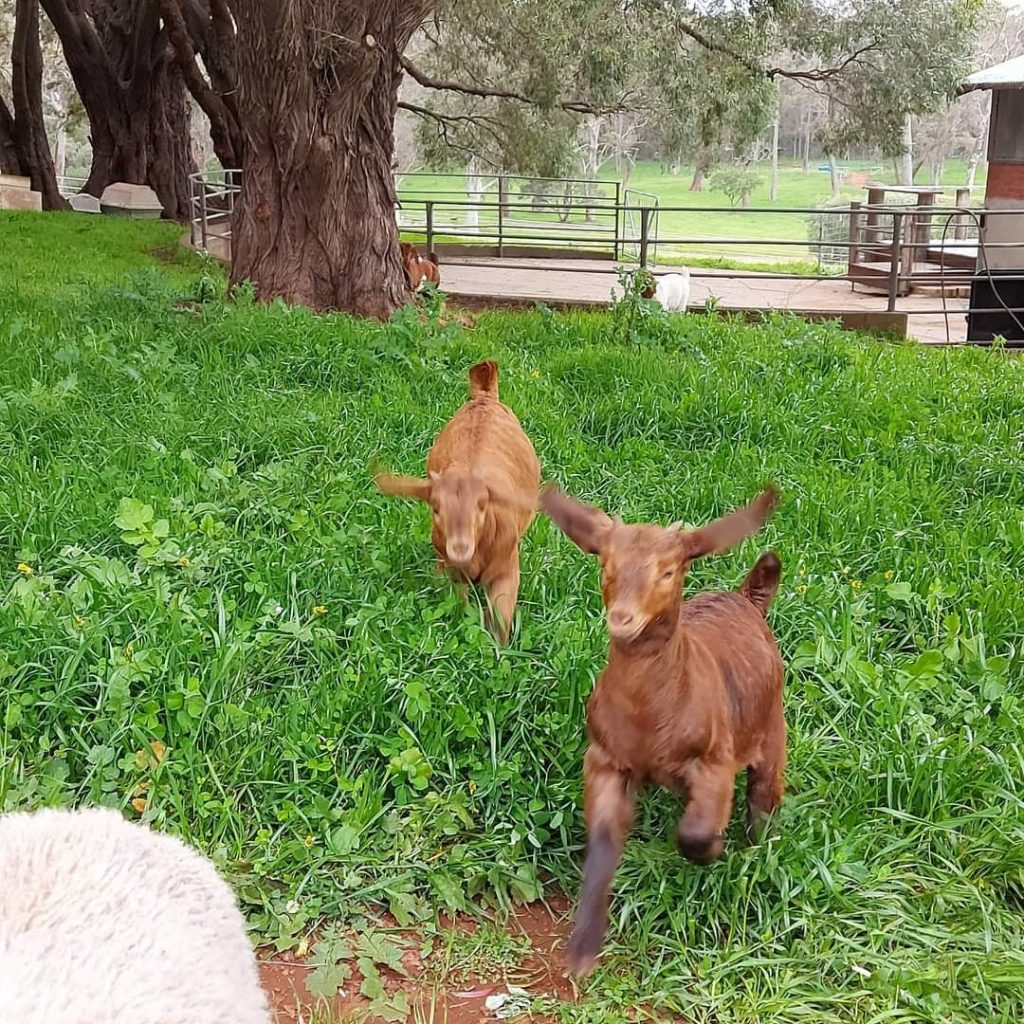 When Guests Re-Visit 21