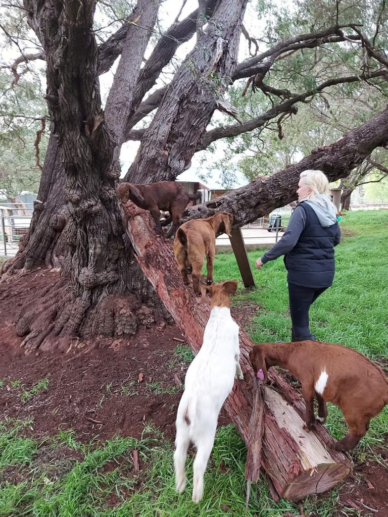 When Guests Re-Visit 19