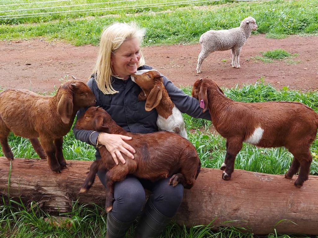 When Guests Re-Visit 18