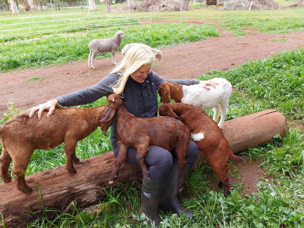 When Guests Re-Visit 17