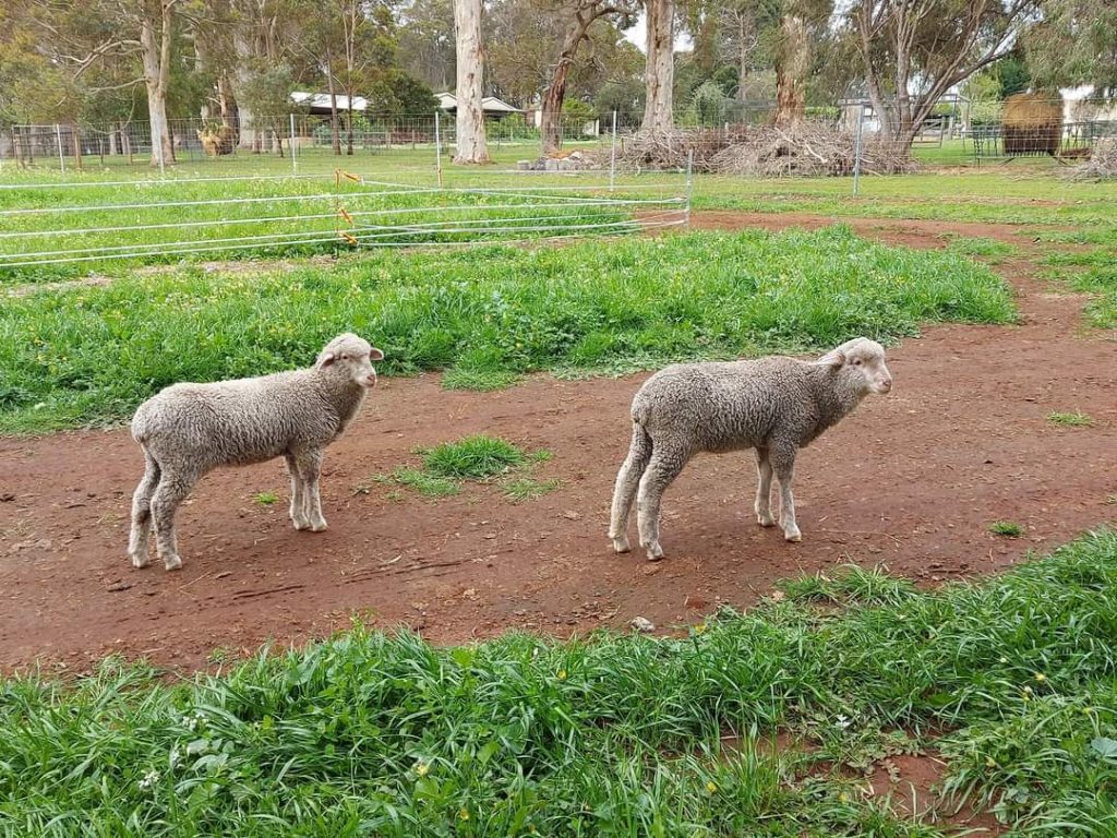 When Guests Re-Visit 16