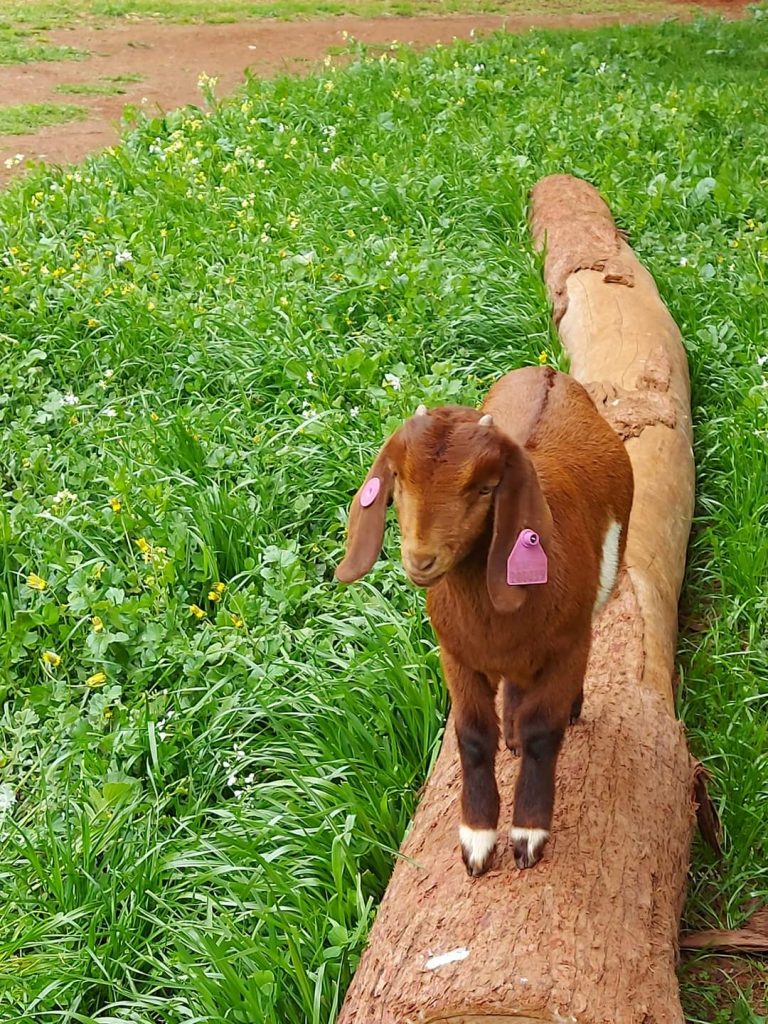 When Guests Re-Visit 15