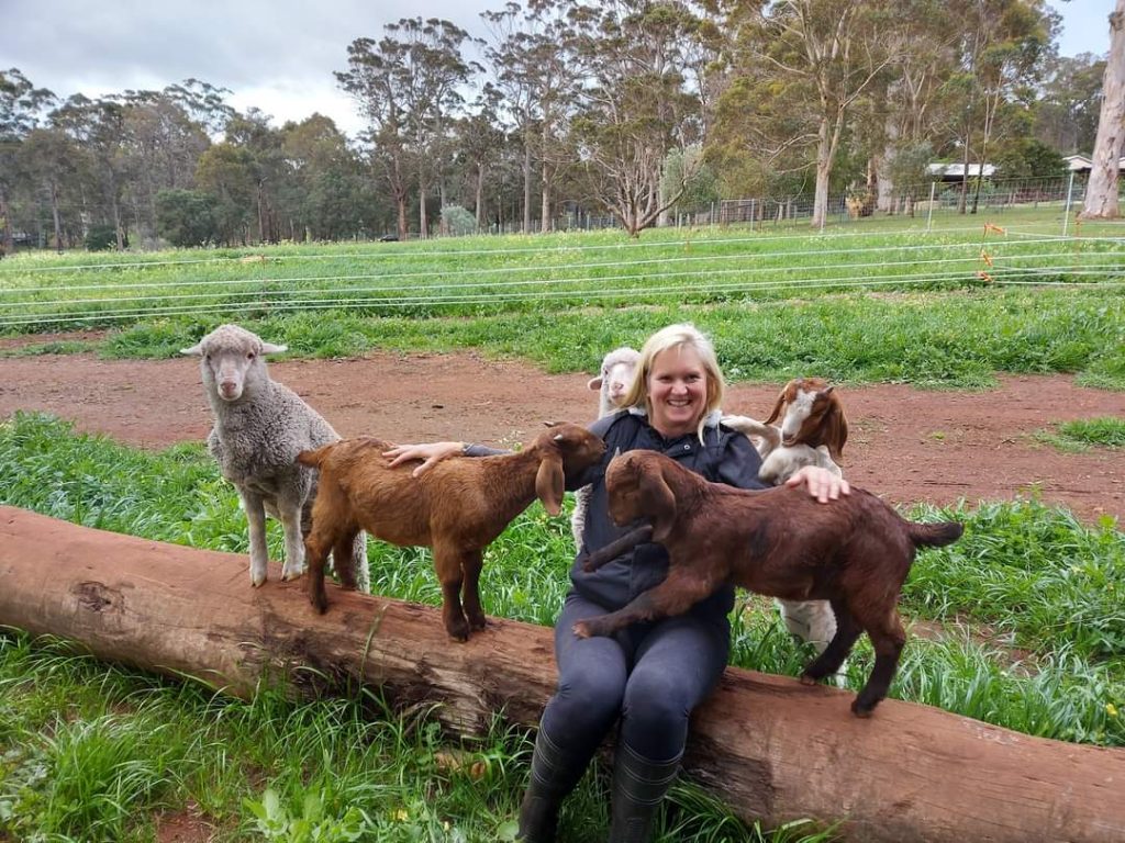 When Guests Re-Visit 14