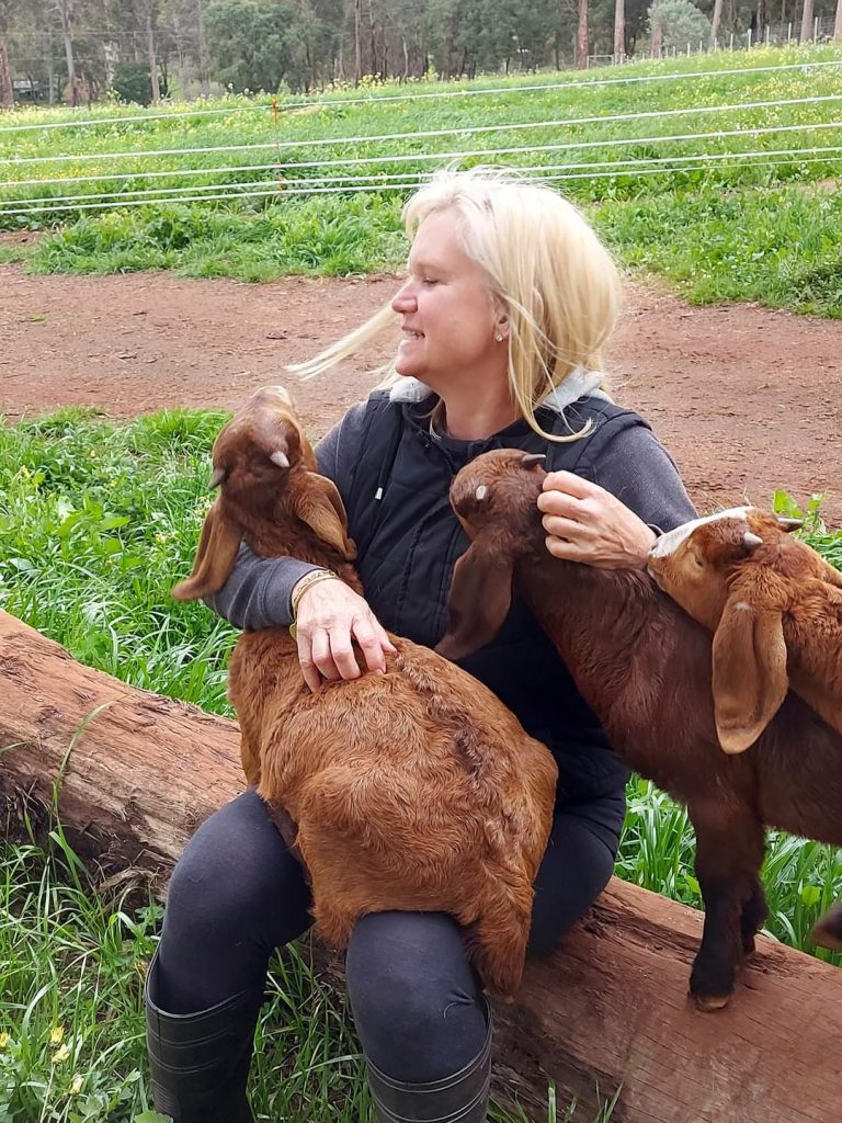 When Guests Re-Visit 13