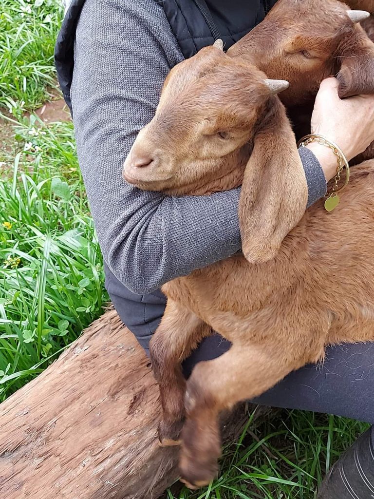 When Guests Re-Visit 12