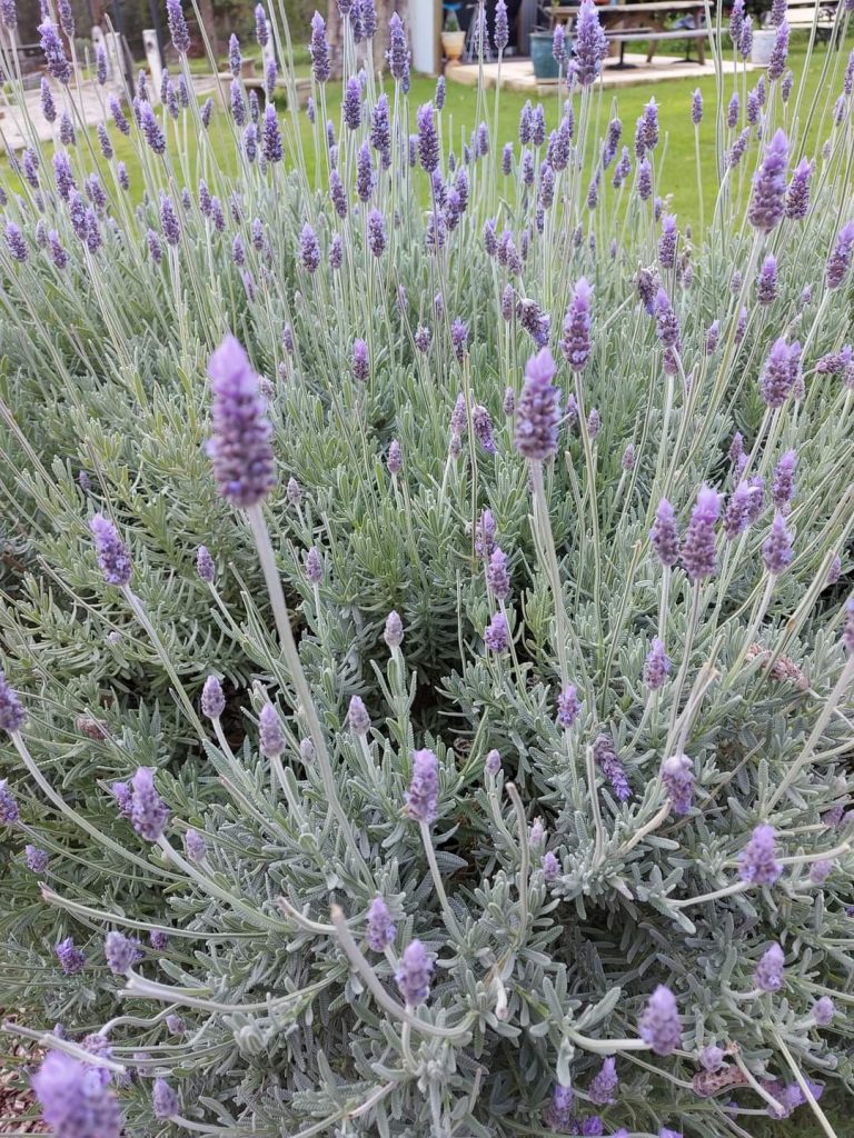 When Guests Re-Visit 9