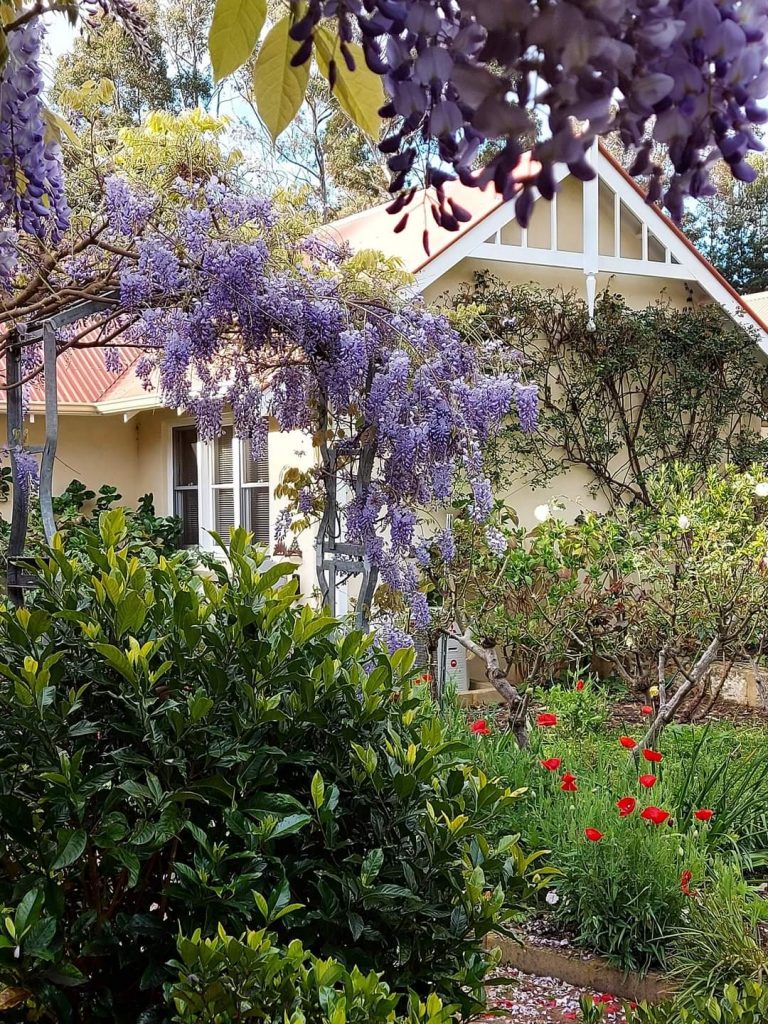 When Guests Re-Visit 8