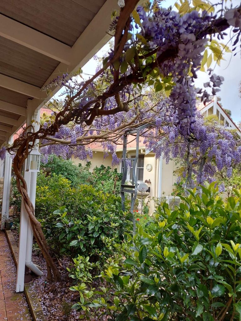 When Guests Re-Visit 7