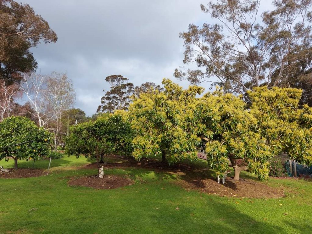 When Guests Re-Visit 6