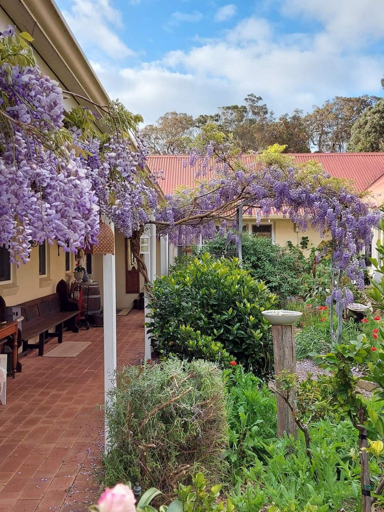 When Guests Re-Visit 5