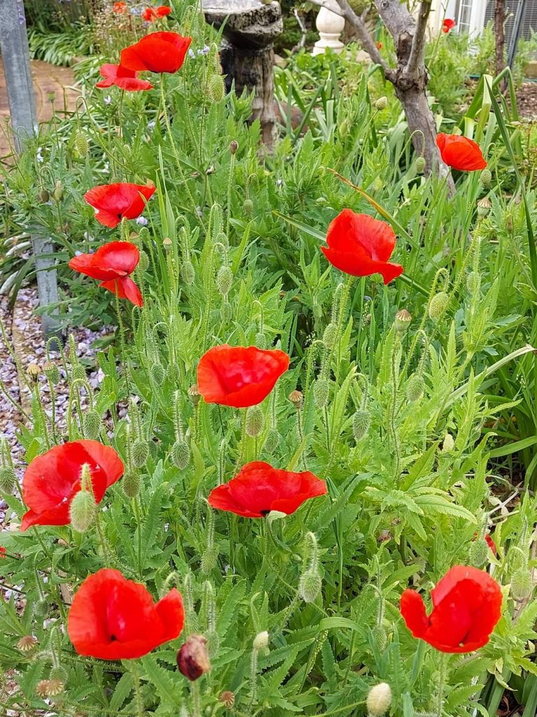 When Guests Re-Visit 4