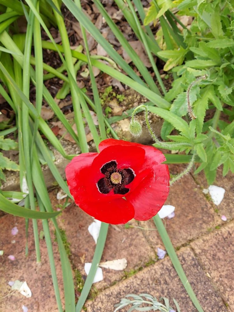 When Guests Re-Visit 3