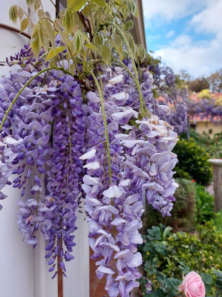 When Guests Re-Visit 2