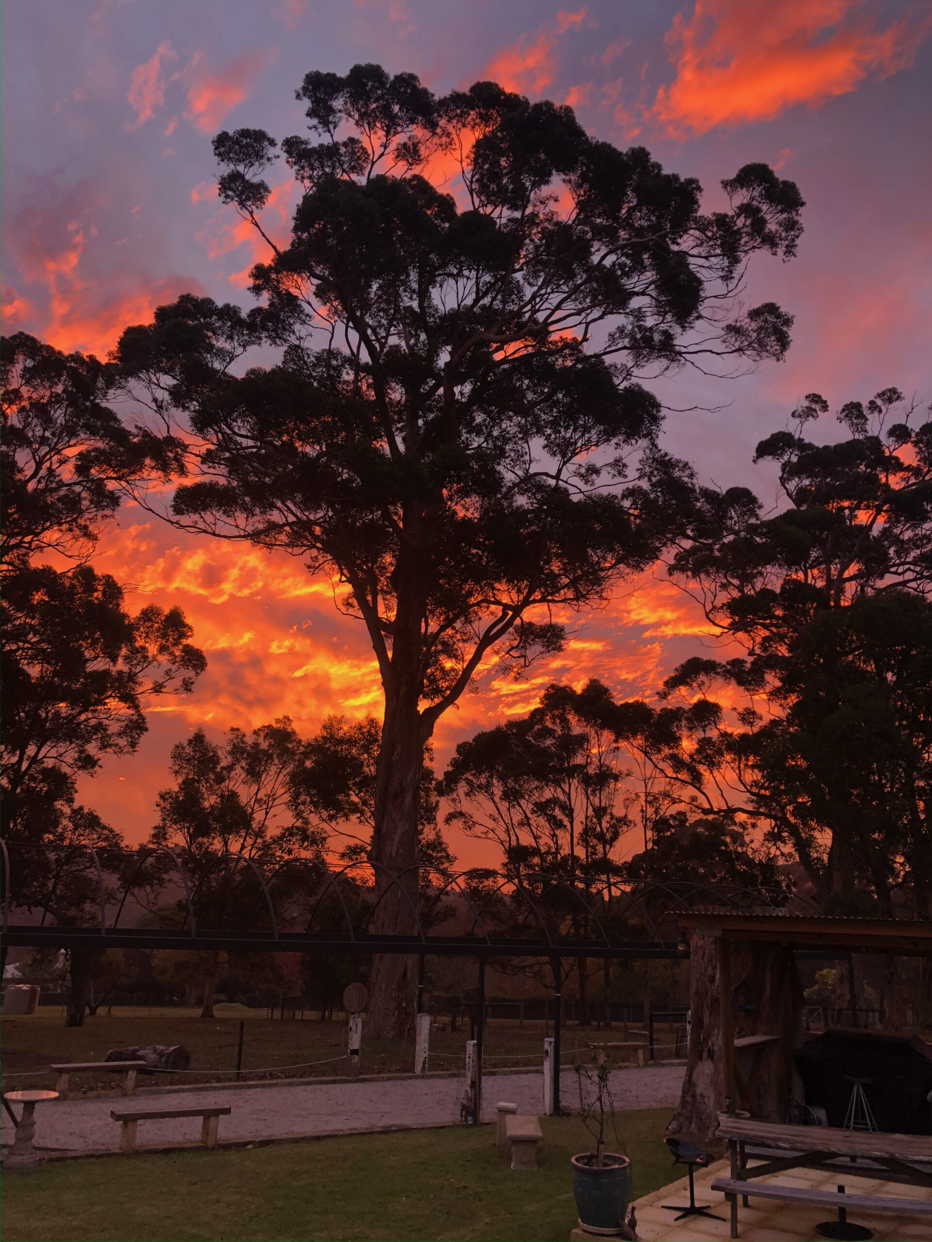 Eat, Stay, Love At Luxury Margaret River Accommodation 5